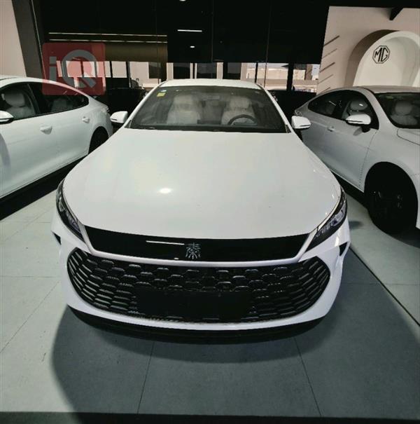 بی وای دی Qin Plus 2025  بۆ فرۆشتن لە عێراق - موسڵ